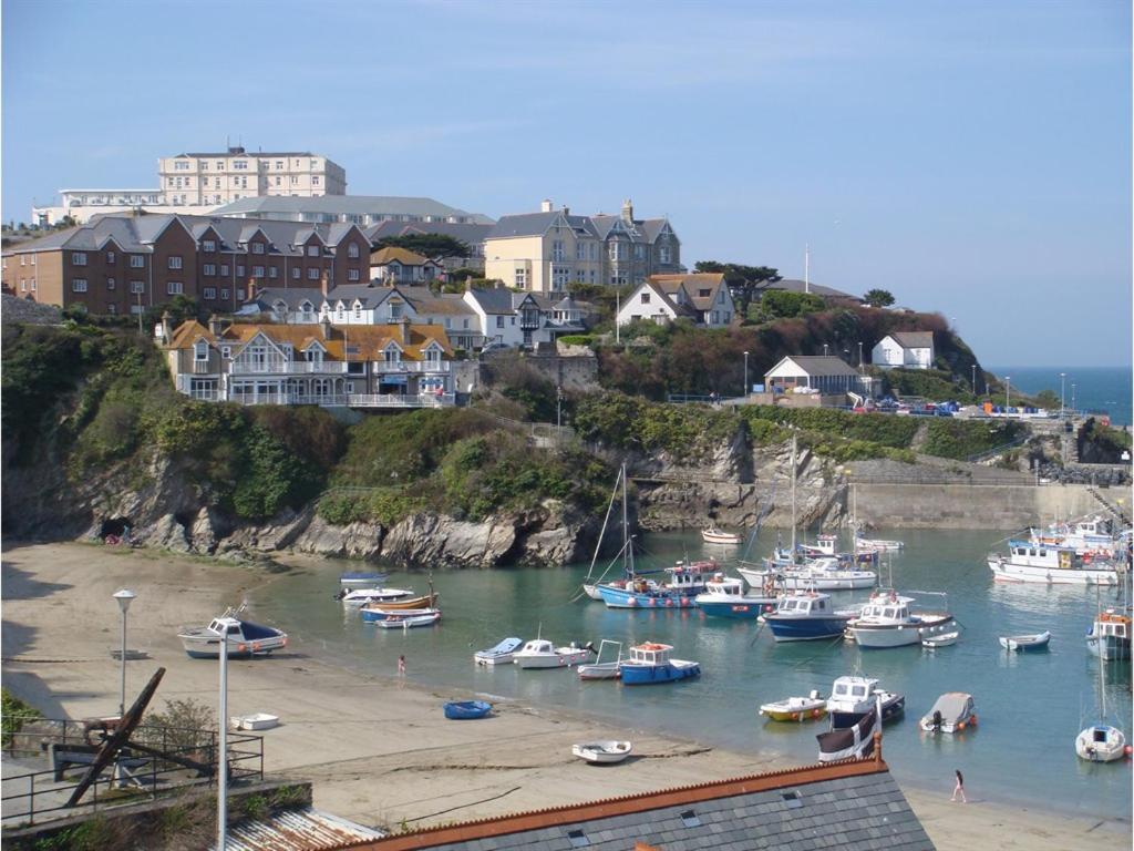 Harbour Hotel New Quay Buitenkant foto