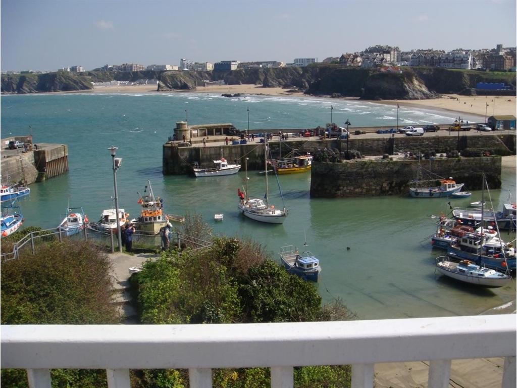 Harbour Hotel New Quay Buitenkant foto