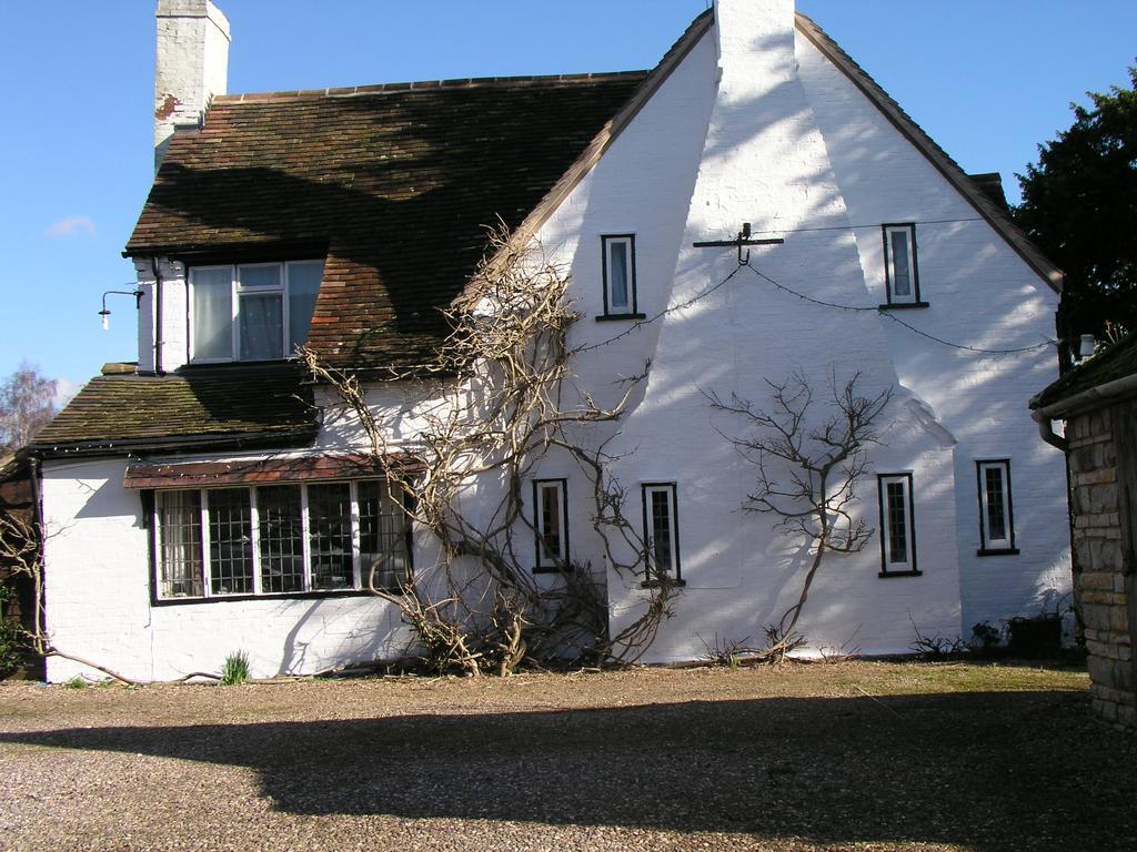 Harbour Hotel New Quay Buitenkant foto